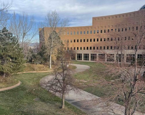 bird house wide shot